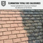 Nettoyant flash pour toiture tuile, bton, ardoise, terre cuite action ultra rapide - transparent - 20 ...