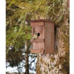 Nichoir  oiseaux en bois massif verni
