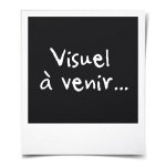 Oceanic ventilateur sur pied 45 watts - diametre 40 cm - hauteur reglable - oscillation - blanc