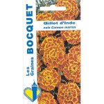 Oeillet d'inde demi nain marron - les graines bocquet - 1, 2g