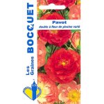 Pavot double  fleur de pivoine vari - les graines bocquet - 1, 5g