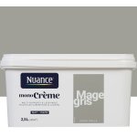 Peinture monocrme mage gris mat 2. 5l