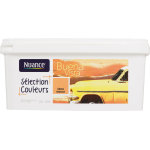 Peinture multi - support buena vista epice douce 2, 5l satin nuance