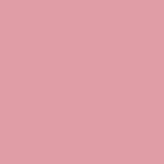 Peinture radiateur - fonte acier alu chauffage toutes couleurs peinture radiateur - ral 3015 rose clair ...