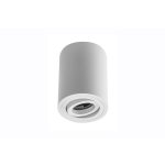 Petit plafonnier cylindrique sensa avec tte rotative - aluminium - blanc - 11, 5 cm - ip 20