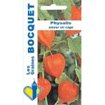Physalis - lanterne chinoise - les graines bocquet - 0, 5g