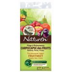 Pièges à phéromone carpocapse des fruits Pièges à phéromone carpocapse des fruits