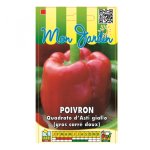 Poivron quadrato d'asti giallo ( poivron gros carr� doux ) - les graines bocquet - 3g
