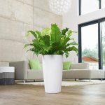 Pot rondo premium 32 - kit complet, blanc brillant Ø 32 cm Pot rondo premium 32 - kit complet, blanc brillant Ø 32 cm