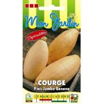Potiron pink jumbo banana - les graines bocquet - 3g
