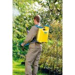 Pulvérisateur dorsal pro 1300 - 13 l avec bretelles pro + lance d'extension 0, 5m Pulvérisateur dorsal pro 1300 - 13 l avec bretelles pro + lance d'extension 0, 5m