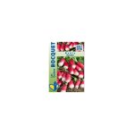 Radis bamba - les graines bocquet - 10g