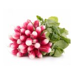 Radis diablus hyb f1 - les graines bocquet - 5g