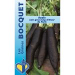 Radis noir d'hiver de paris - les graines bocquet - 10g