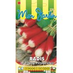 Radis pernot clair - les graines bocquet - 10g