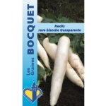 Radis rave blanche transparente - les graines bocquet - 10g