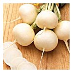 Radis ronde witte ( rond blanc ) - les graines bocquet - 10g