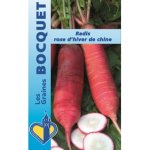 Radis rose d'hiver de chine - les graines bocquet - 10g