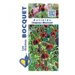 Ratibida chapeau mexicain - les graines bocquet - 1g