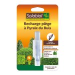 Recharge pige  pyrale du buis