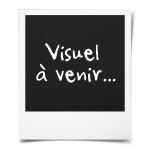 Ryobi souffleur 18v turbo jet - sans batterie - obl18jb