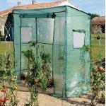 Serre tomate grand modle