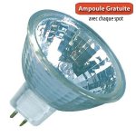 Spot bain et douche etanche ip44 nickel satin avec ampoule halogene mr16 (gu5. 3) 12v 25w (35w)