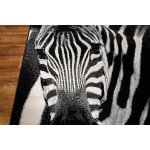 Tapis bcf flash 33302 / 190 120x170 cm