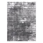 Tapis moderne cozy 8654 raft, lignes - structural deux niveaux de molleton gris 280x370 cm