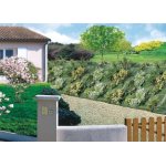Toile de paillage 1. 25 x 10 m agrosol Toile de paillage 1. 25 x 10 m agrosol