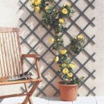 Treillis extensible nortene trelliflex pvc lattes standard gris 1x2m Treillis extensible nortene trelliflex pvc lattes standard gris 1x2m