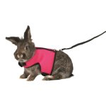 Trixie harnais doux avec laisse - pour grand lapin Trixie harnais doux avec laisse - pour grand lapin