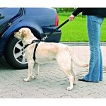 Trixie harnais pour voiture pour chien