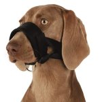 Trixie museliere sangle nylon - xl - pour chien Trixie museliere sangle nylon - xl - pour chien