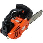 Tronçonneuse Élagueuse thermique 25 cm3, 1. 2 cv, guide 26 cm Tronçonneuse Élagueuse thermique 25 cm3, 1. 2 cv, guide 26 cm