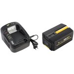 Trononneuse sans fil  batterie, 40 v, guide 14 pouces, gt elec + batterie 2 ah + chargeur