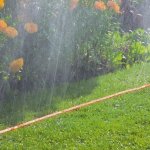 Tuyau d'arrosage micro - perfor plat - longueur 15 mtres