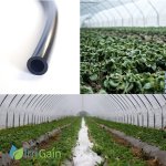 Tuyau capillaire goutte  goutte pe 1 x 3, 2 mm 5 mtres - micro - irrigation