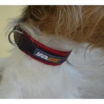 Yago collier en cuir noir et rouge souple et reglable pour grand chien, taille l 43 - 52 cm Yago collier en cuir noir et rouge souple et reglable pour grand chien, taille l 43 - 52 cm