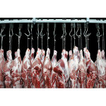Cordeau polypropylne 18 g abattoir blanc