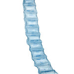 Gaine cx en poly�thyl�ne haute densit� coussins de 400 x 110 mm pour machine air + mini