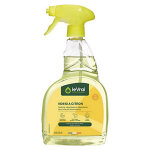 Spray dtergent cuisine le vrai