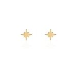 Boucles d'oreilles puces alisee plaqu or jaune