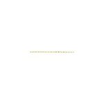 Chaine or jaune pilea