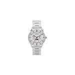 Montre arctik horizon argent