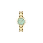 Montre boss sena vert