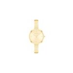 Montre calvin klein beam dor