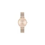 Montre calvin klein timeless 2h rose