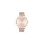 Montre calvin klein timeless 2h rose