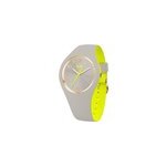 Montre ice watch duo chic gris